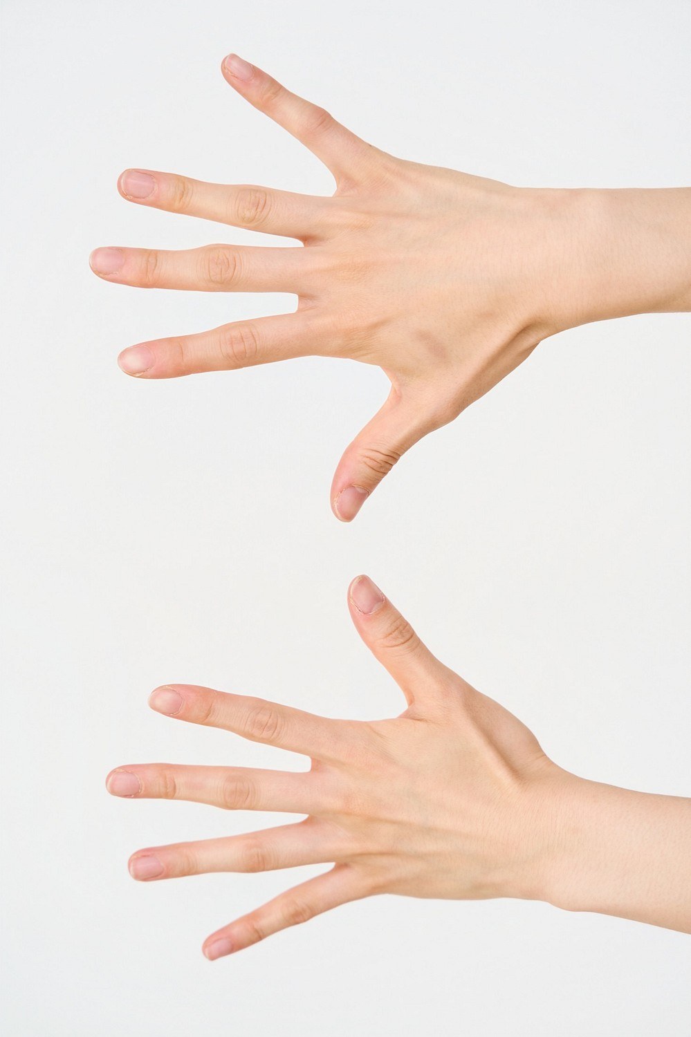Sarie Sakai — hand model, portrait